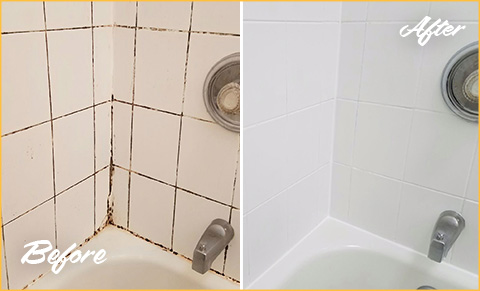 Cape Coral Grout Cleaning Experts Brighten Ceramic Shower