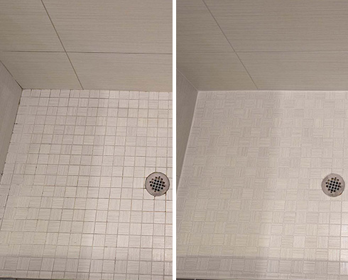 Tile Shower Before and After a Grout Sealing in Fort Myers